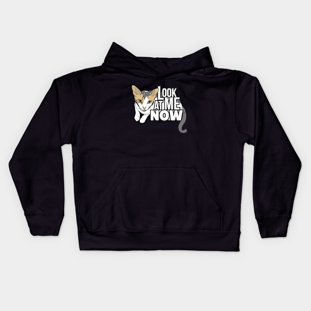 Look at me now - funny cat design Kids Hoodie by LR_Collections